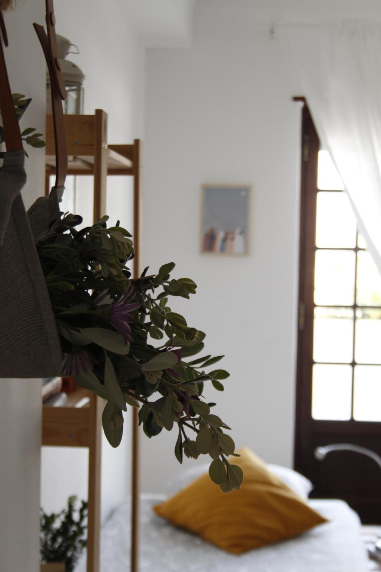 Boa Onda Guesthouse Atouguia Da Baleia Værelse billede